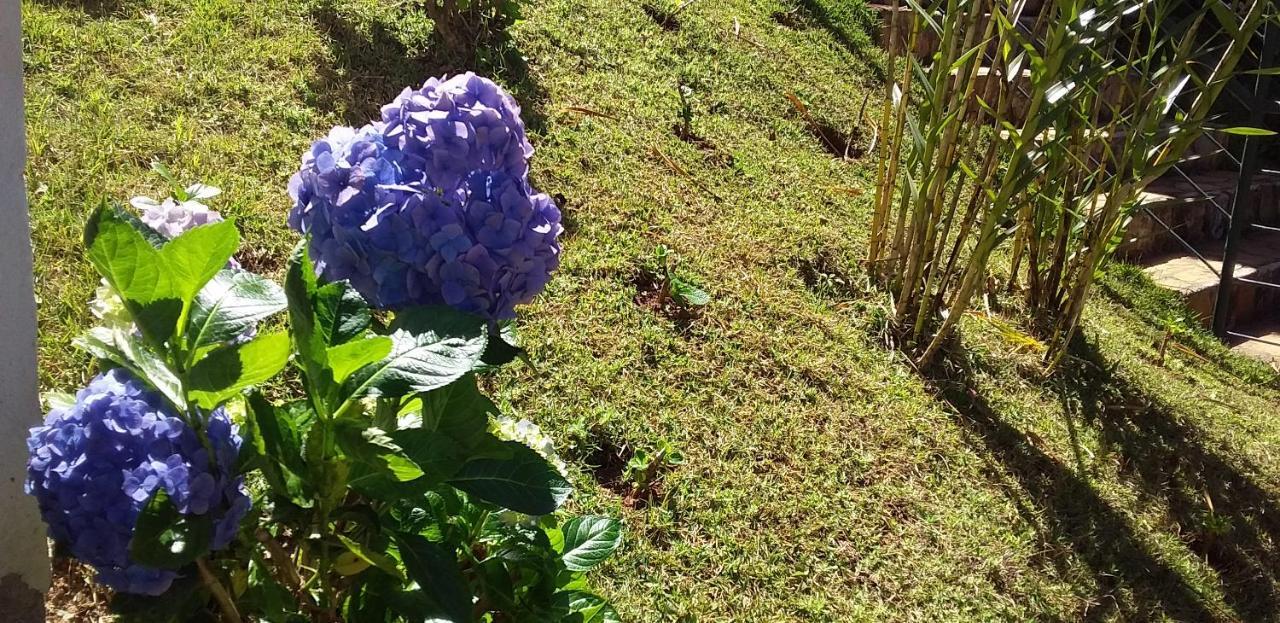 Pousada Vila Real Flats Ouro Preto  Ngoại thất bức ảnh